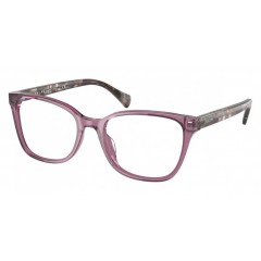 Ralph Lauren 7137U 6008 - Oculos de Grau