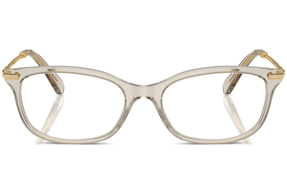 Swarovski 2017 3003 - Oculos de Grau