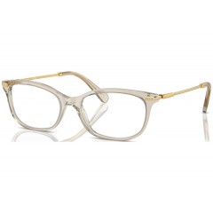 Swarovski 2017 3003 - Oculos de Grau